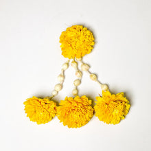 Load image into Gallery viewer, Zinnia with Mogra (Set of 8)