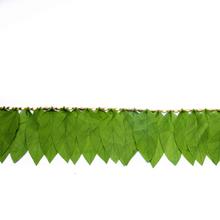 Load image into Gallery viewer, Eco-Friendly Mango Leaves Toran(6ft long)