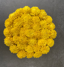 Load image into Gallery viewer, Floral Mats