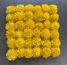 Load image into Gallery viewer, Floral Mats