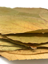 Load image into Gallery viewer, Vistaraku for Backdrop decorations