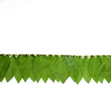 Load image into Gallery viewer, Eco-Friendly Mango Leaves Toran(6ft long)
