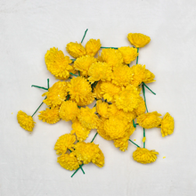 Load image into Gallery viewer, Loose Chamanthi Flowers
